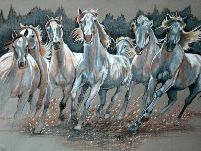 The Camargue Herd The Camargue Herd
