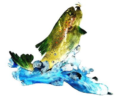 Rainbow Trout Rainbow Trout