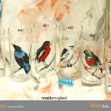 Set of handpainted glasses: BIRDS OF ASIA