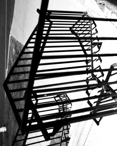 falling upwards (canon r50 ttartisan 50mm f/1.2)