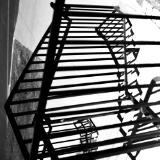 falling upwards (canon r50 ttartisan 50mm f/1.2)