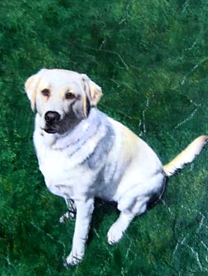 Cooper Cooper
