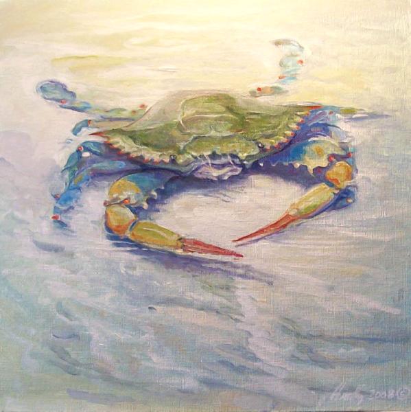 Blue Crab in a Tidal Pool