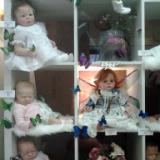 Assorted Show Entries & Available Babies