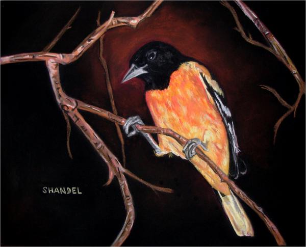 In the Forest of the Night