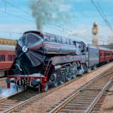 Locomotive 3801 at Sydney Terminal