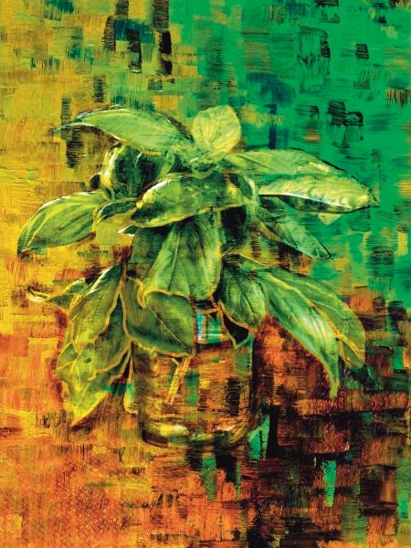 Basil