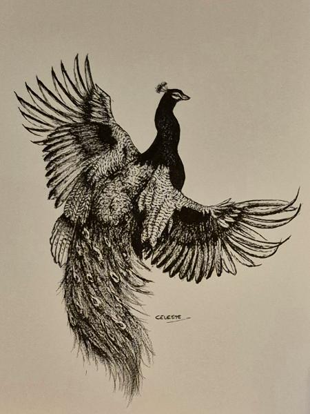 Taking flight