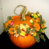 Pumpkin Decoration Pumpkin Decoration