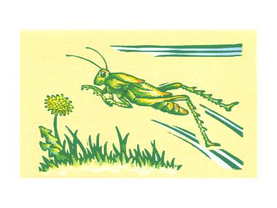 Grasshopper Grasshopper