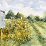 Butterfly Houses-Queeny Park 9.10.22