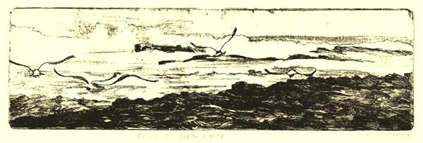 (9)Gulls