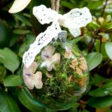 Glass Nature Bauble