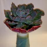 Flower shaped vase with succulent