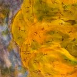 Art of Duane Kirby Jensen