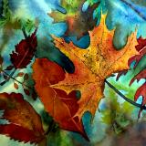 Fall Leaves III