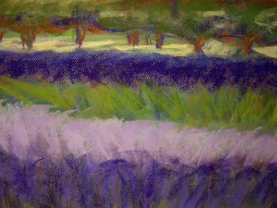 Lavender Fields of Escondido