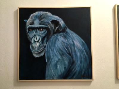 Chimp Chimp