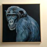 Chimp