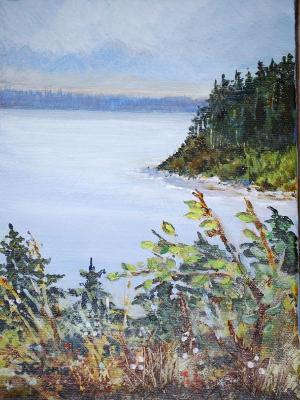 Camano Overlook (Sold) Camano Overlook (Sold)