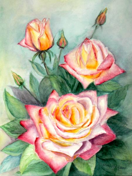 Bicolor Roses