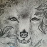 Cry Wolf
