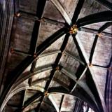 Aren't Ceilings fascinating