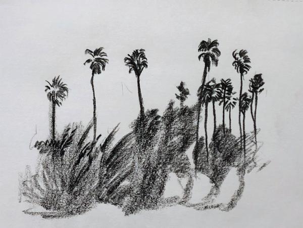 Row of Palm Trees, Alameda