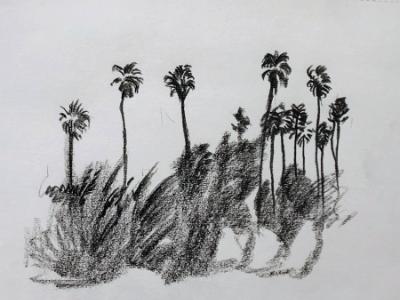 Row of Palm Trees, Alameda