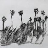 Row of Palm Trees, Alameda