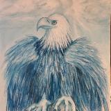 Monochromatic Blue Eagle