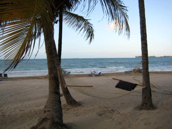 tropical lazy days