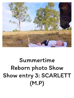 SHOW ENTRY 3: SCARLETT (M.P)