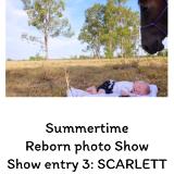 SHOW ENTRY 3: SCARLETT (M.P)