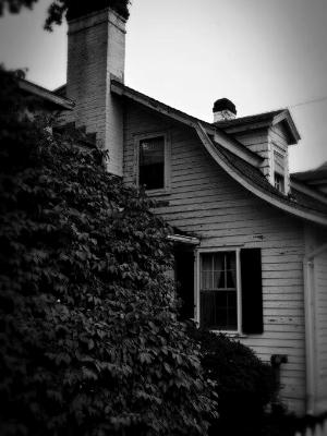 haunted haunted
