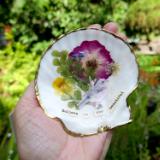 Large Collaged Shell