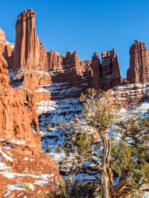 Fisher Towers Juniper Tree Fisher Towers Juniper Tree