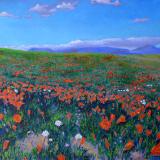 The Tehachapi’s and Spring Poppies