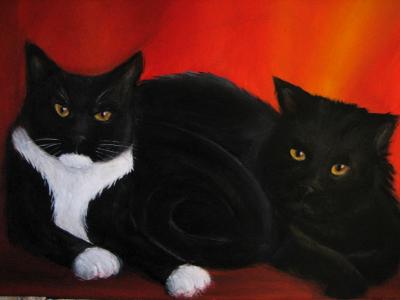 Tuxedo and Solomon