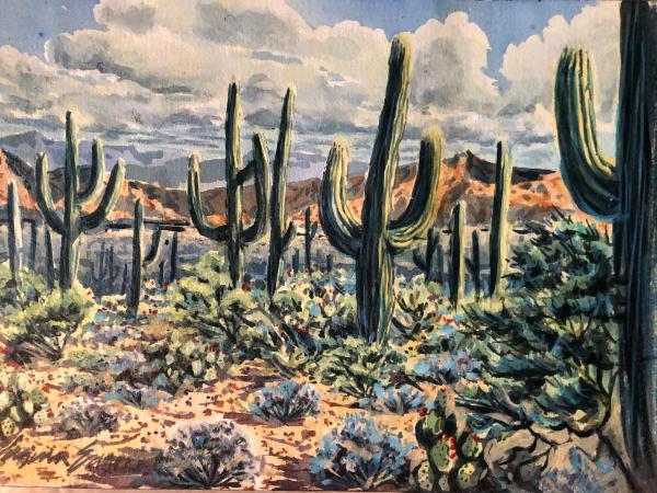 Desert with Saguaros