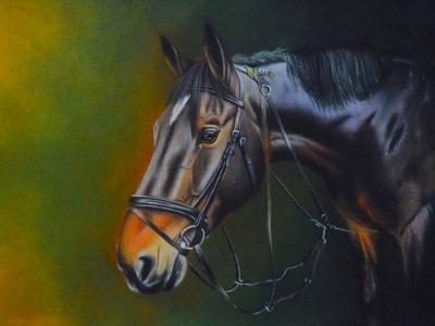 La bellezza del cavallo da salto sella italiano, 38cm x 56cm, 2021 La bellezza del cavallo da salto sella italiano, 38cm x 56cm, 2021