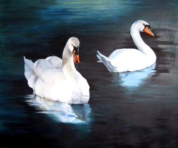 Tranquility  (Swans on the Rideau River in Ottawa)
