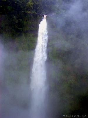 Akaka Falls