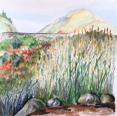 At Sacate Bluff At Sacate Bluff