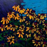 Black-eyed Susans