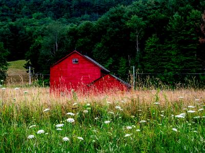 The Red Barn