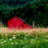 The Red Barn