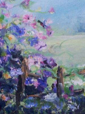 Ky Morning Glories Ky Morning Glories