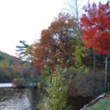 By the Lake