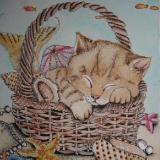 Mermaid Kitty
